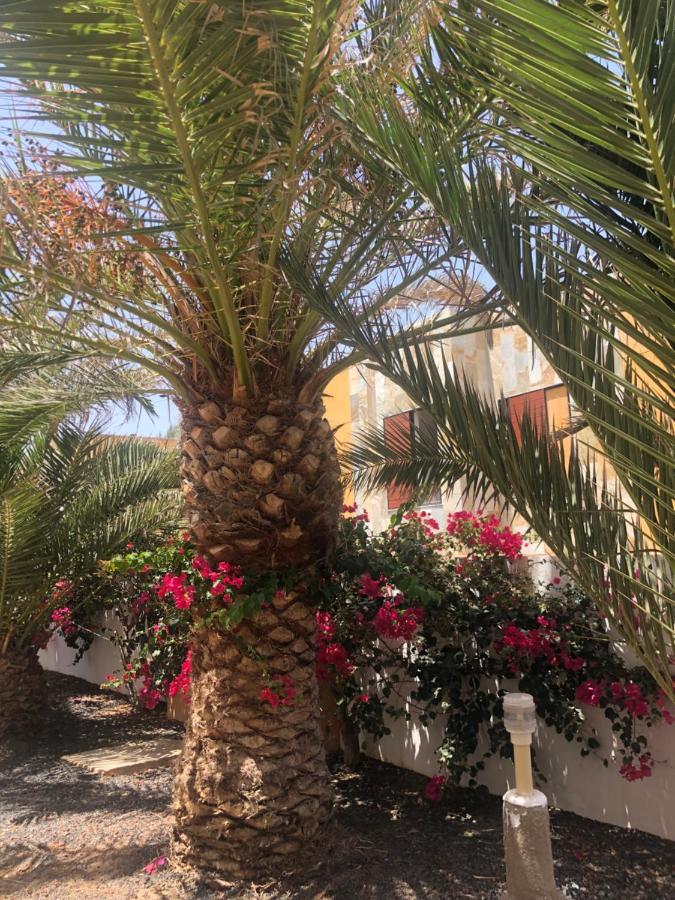 Apartamento Smile Complex Amaya Fuerteventura Коста де Антигуа Екстериор снимка